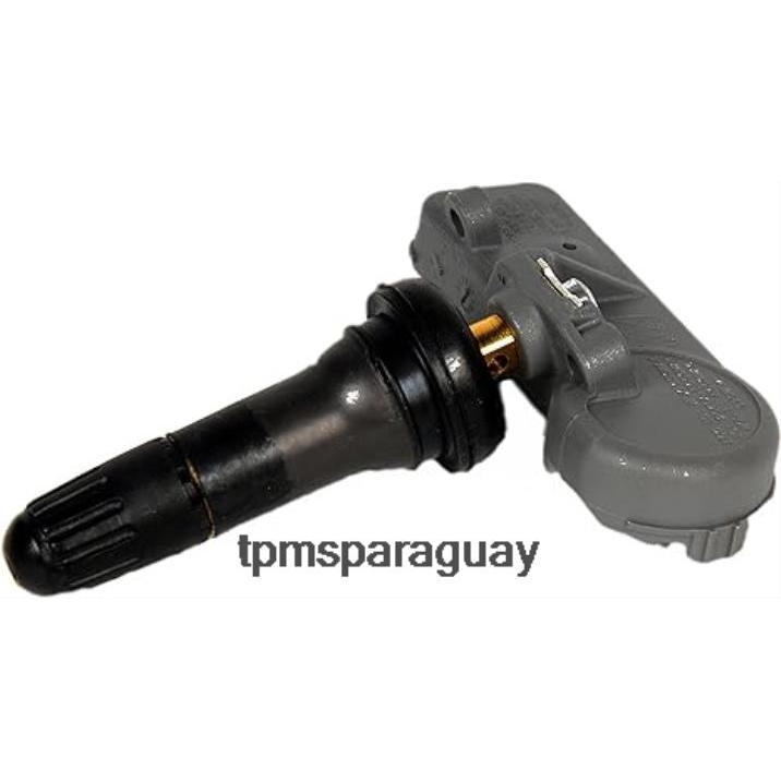 Sensor de presión de neumáticos tpms chevrolet/buick/gmc/hummer 13581558 - Sensor TPMS Universal V04B1325